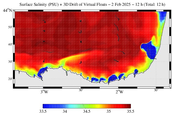 Example of surface salinity and 3D drift of virtual floats